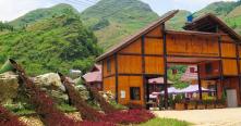 Fleurs colorées dans la vallée des fleurs de Bac Ha