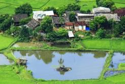 Hoa Binh