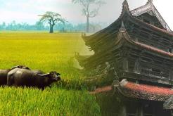 Thai Binh