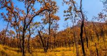 Le parc national de YokDon