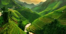 Sapa Sapa