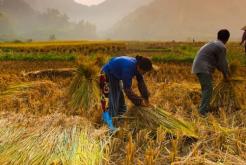 Tourisme responsable au Vietnam