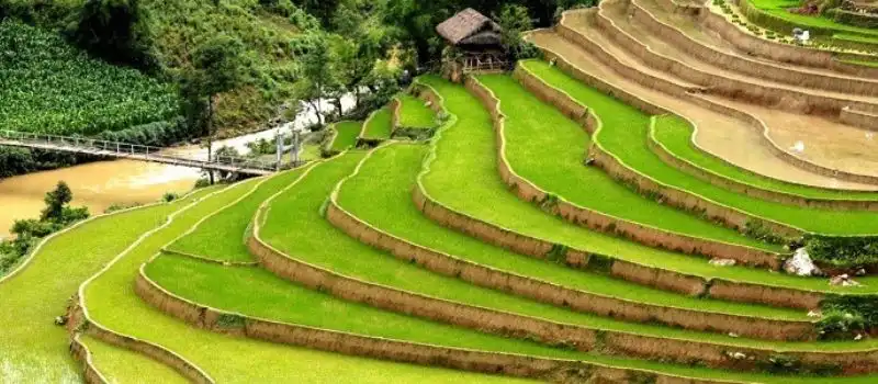 Super voyage au Vietnam avec agence de voyage à Hanoi Vietnam