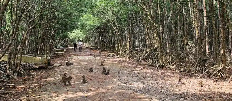 Super voyage au vietnam avec agence de voyage locale au vietnam