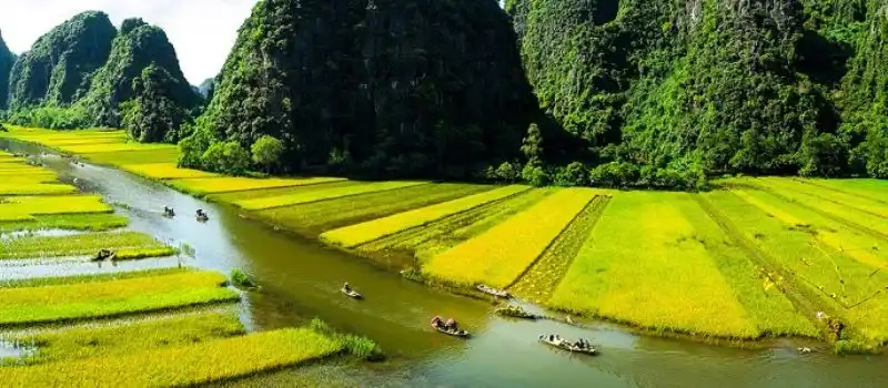 Superbe voyage au Vietnam en famille avec agence de voyage locale à Hanoi