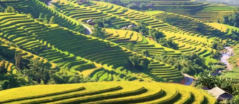 Très bonne agence de voyage locale Vietnam sérieuse et professionnelle