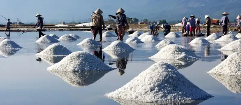 Voyage au Vietnam des parrainages avec agence de voyage au Vietnam fiable