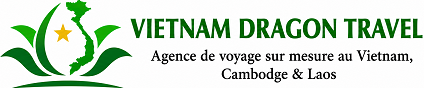 Vietnam Dragon