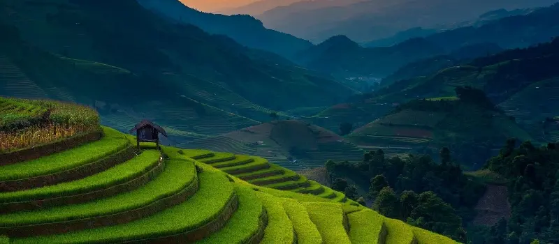 Les rizières en terrasse du nord du Vietnam