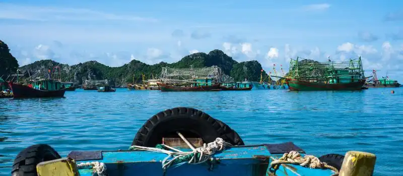 Appréciez le moment mémorable au Vietnam Appréciez le moment mémorable au Vietnam