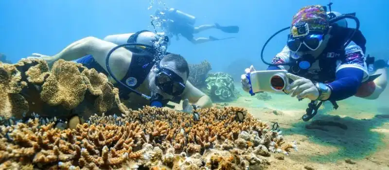 Balade sous la mer