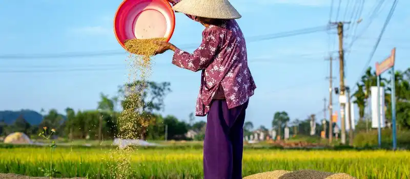 Choisir un guide francophone local pour séjour au Vietnam Choisir un guide francophone local pour séjour au Vietnam