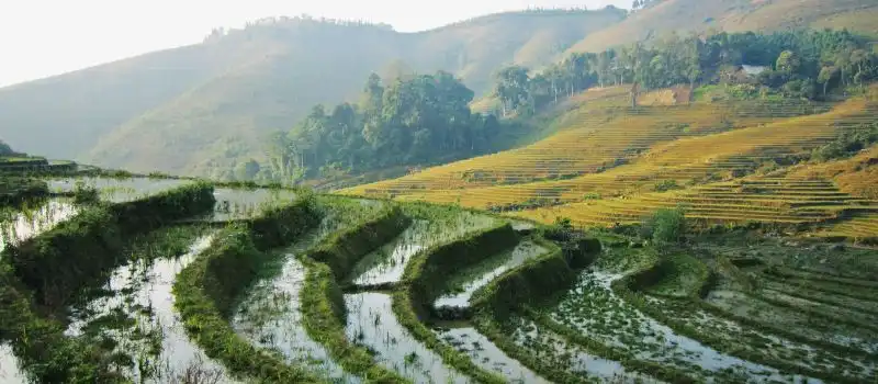 Choisir un guide francophone Vietnam: Votre voyage entre de bonnes mains Choisir un guide francophone Vietnam: Votre voyage entre de bonnes mains