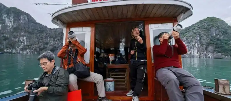 Choisir une croisière d’une journée dans la baie Bai Tu Long Choisir une croisière d’une journée dans la baie Bai Tu Long