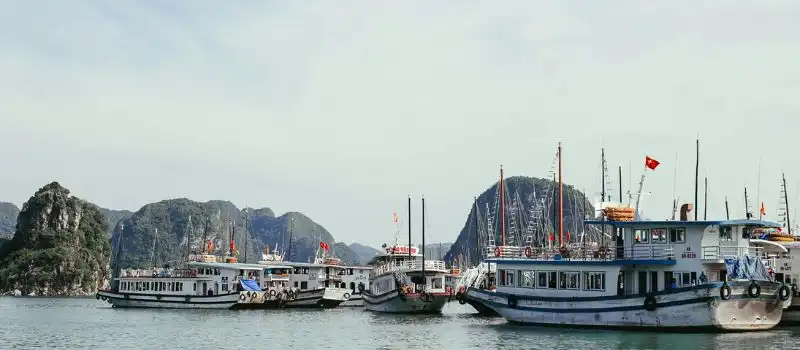 Choisir une croisière d’une journée dans la baie Lan Ha Choisir une croisière d’une journée dans la baie Lan Ha