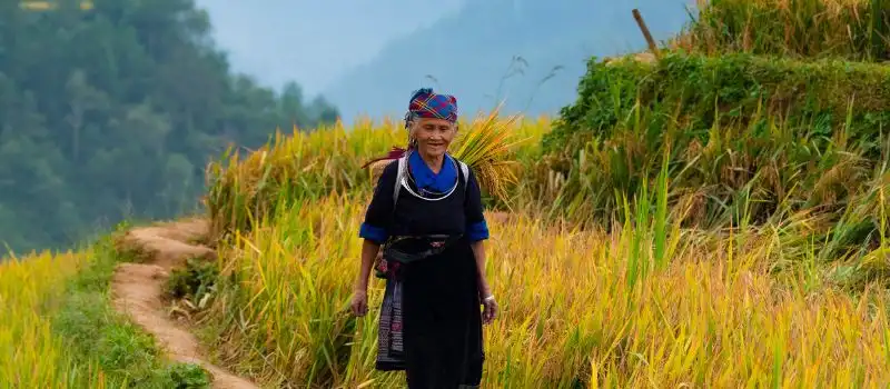 Circuit au Vietnam sur mesure : itinéraire privé pour un premier voyage