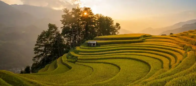 Beauté des vague d’or Mu Cang Chai