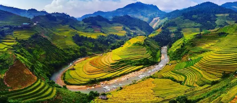 Circuit Nord Vietnam: Découverte de la beauté des vague d’or Mu Cang Chai
