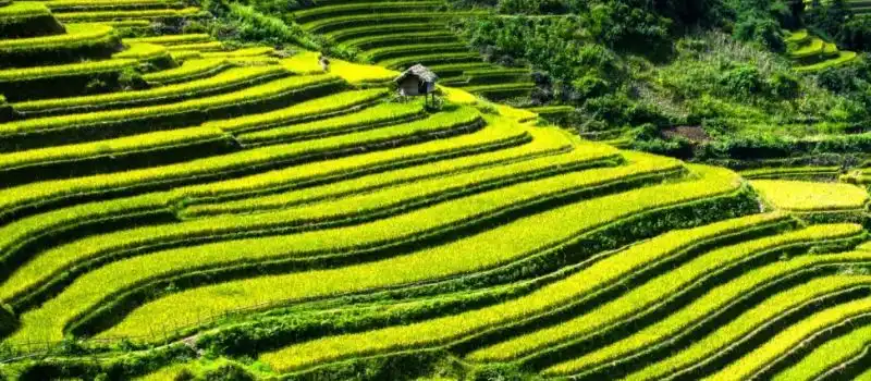 Circuit Vietnam hors des sentiers battus pour les familles Circuit Vietnam hors des sentiers battus pour les familles