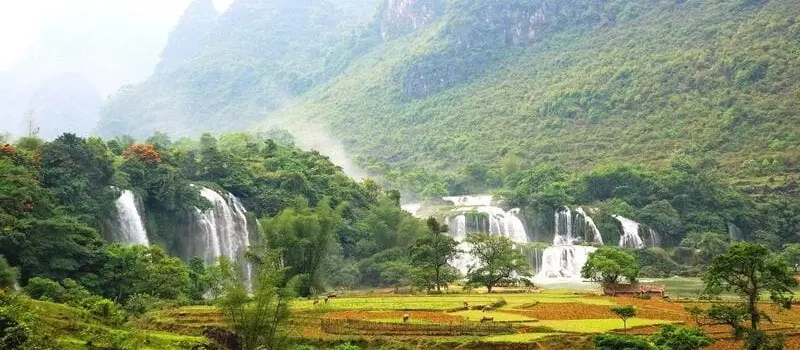 Climat Vietnam saison sèche - Moment où le pays respire autrement Climat Vietnam saison sèche - Moment où le pays respire autrement