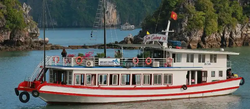 Croisière d'une journée dans la baie d'Halong Croisière d'une journée dans la baie d'Halong