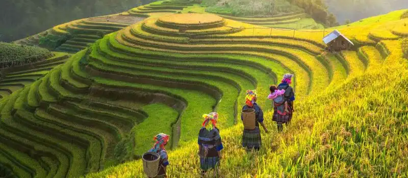 Découverte de Sapa