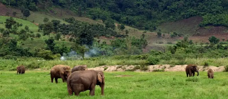Découverte des Hauts Plateaux de Mondulkiri Découverte des Hauts Plateaux de Mondulkiri