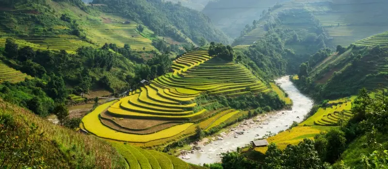 Découvrir le Vietnam à travers 5 régions authentiques Découvrir le Vietnam à travers 5 régions authentiques