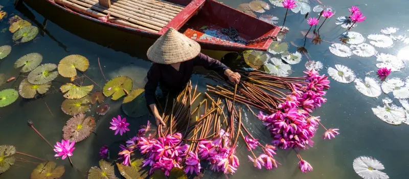 Découvrir le Vietnam dans le delta du Mékong Découvrir le Vietnam dans le delta du Mékong