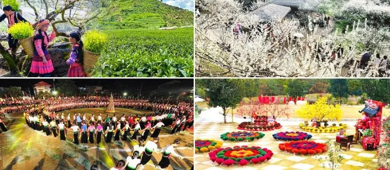 Destinations pour vivre le Têt vietnamien 2026 Destinations pour vivre le Têt vietnamien 2026