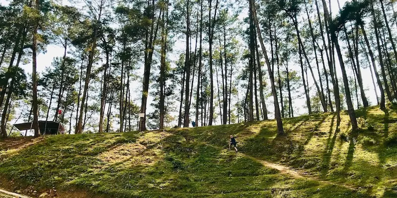 découvrir-ha-giang-une-oeuvre-dart-naturelle-dans-les-montagnes-du-vietnam4