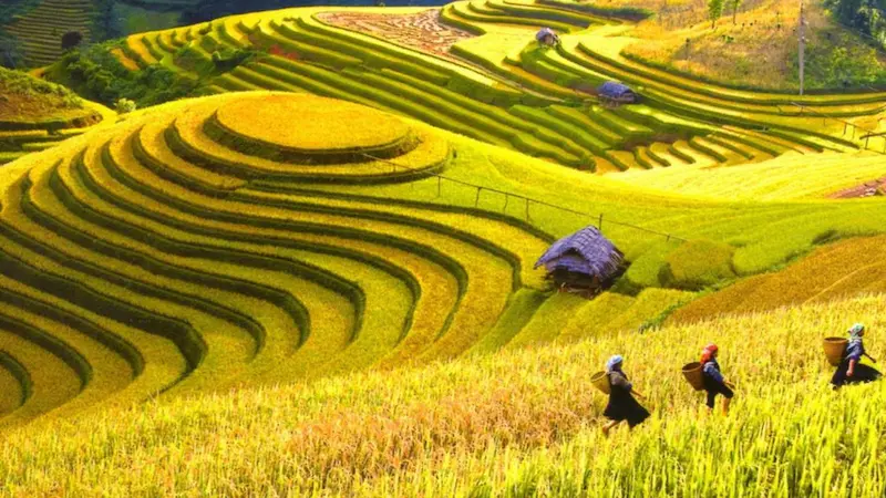 Découvrir Ha Giang, une œuvre d’art naturelle dans les montagnes du Vietnam
