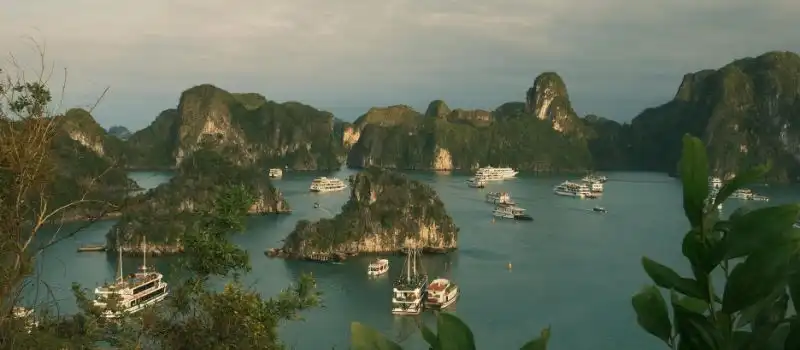Erreurs à éviter pour une croisière en baie Halong Agence de voyage locale Erreurs à éviter pour une croisière en baie Halong Agence de voyage locale