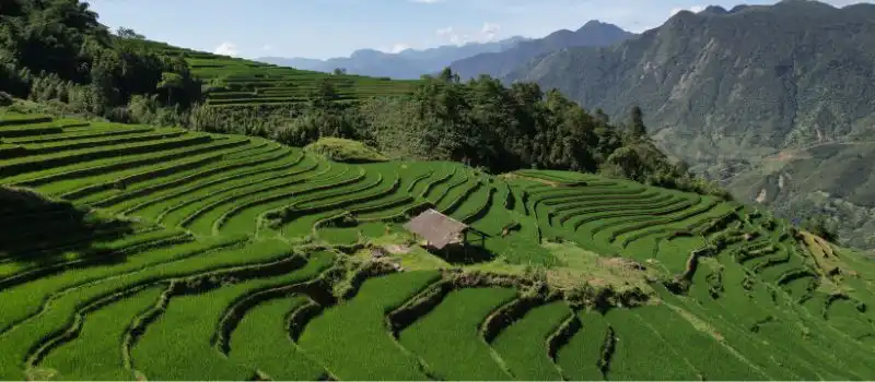 Étape incontournable Tam Duong Étape incontournable Tam Duong