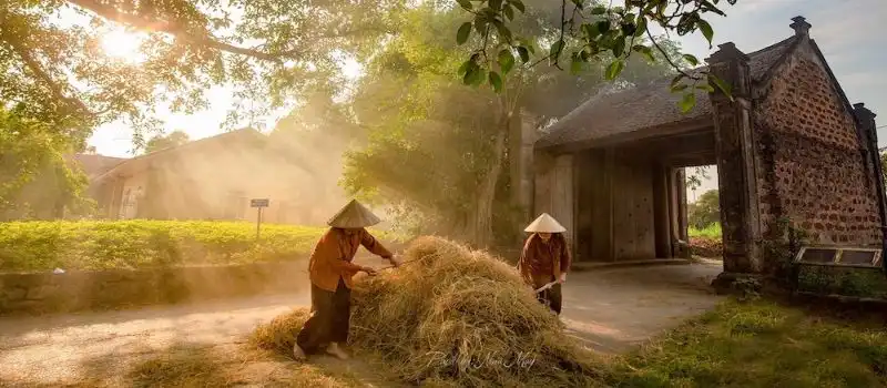Excursion une journée au village ancien de Duong Lam Visite autour Hanoi Excursion une journée au village ancien de Duong Lam Visite autour Hanoi