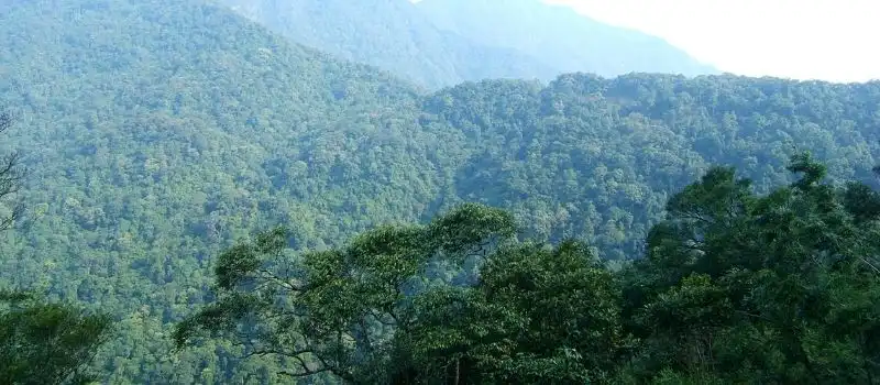 Faire du trekking dans les forêts à Tam Dao