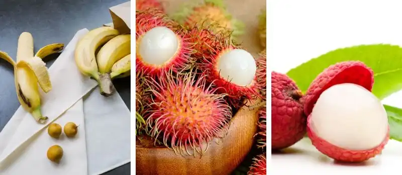Fruits tropicaux Fruits tropicaux
