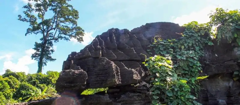 Grotte chauve-souris de Tien An Grotte chauve-souris de Tien An