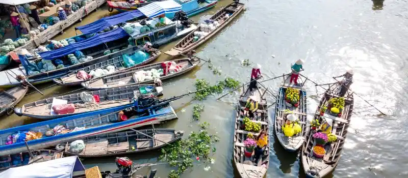 Guide francophone au Vietnam privé: Une immersion dans la vie locale Guide francophone au Vietnam privé: Une immersion dans la vie locale
