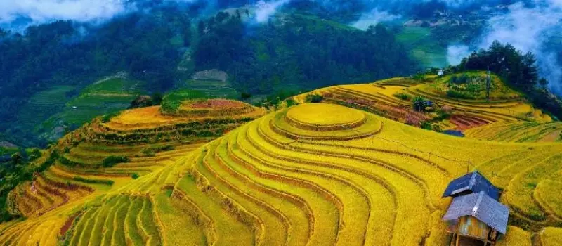Hoang Su Phi et ses rizières classées Hoang Su Phi et ses rizières classées