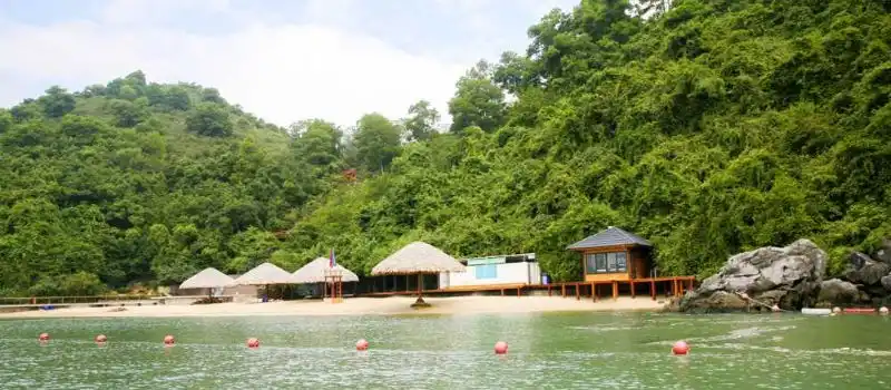 Ile de Soi Sim Halong Ile de Soi Sim Halong