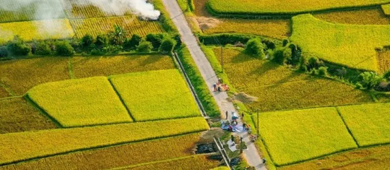 Beauté de Mai Chau en automne