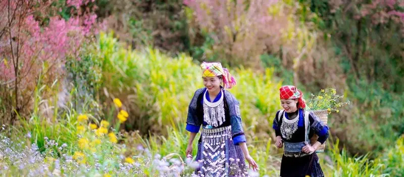 Voyage au Nord du Vietnam en printemps Voyage au Nord du Vietnam en printemps