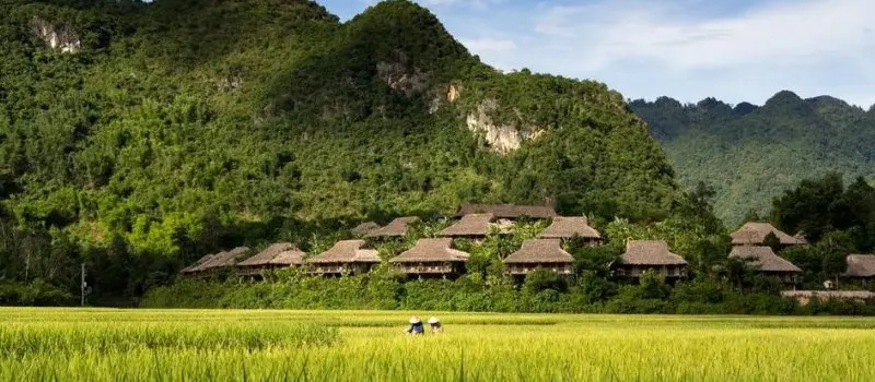Voyage au Nord du Vietnam en automne Voyage au Nord du Vietnam en automne
