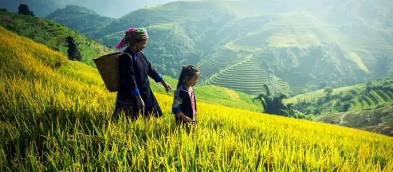 Voyage à Sapa Voyage à Sapa