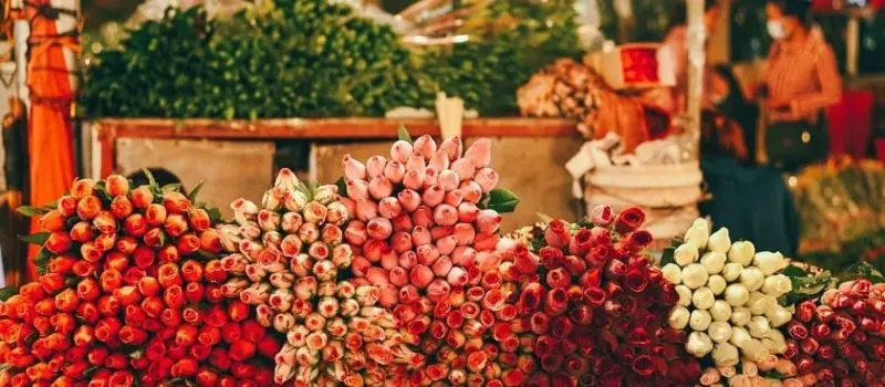 Quels sont les marchés populaires à Hanoi pour des vacances au Vietnam? Quels sont les marchés populaires à Hanoi pour des vacances au Vietnam?