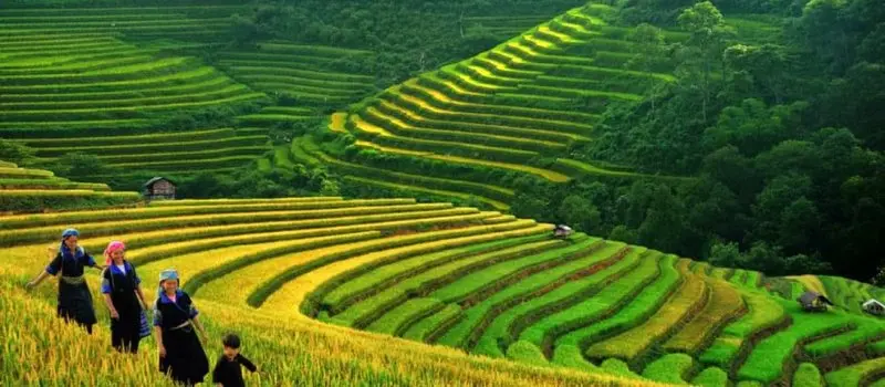 Sapa en été Sapa en été