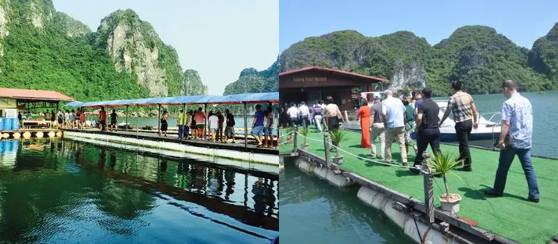 Croisiere en baie Halong pour un cours de fabrication de bijoux en nacre Croisiere en baie Halong pour un cours de fabrication de bijoux en nacre