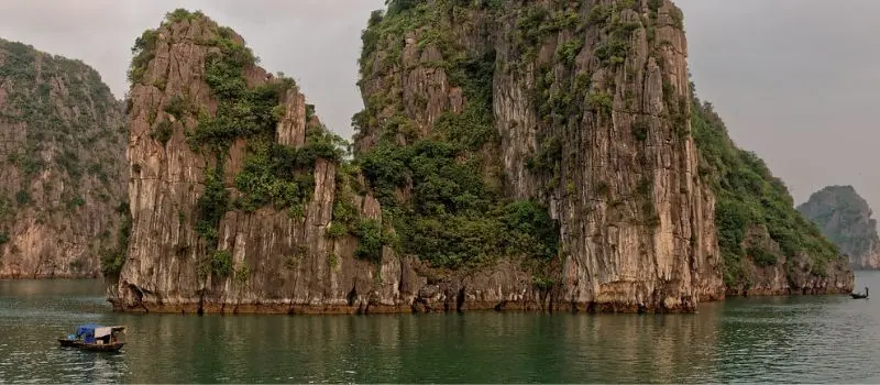 Croisiere en baie Halong pour découvrir une riche biodiversité marine Croisiere en baie Halong pour découvrir une riche biodiversité marine