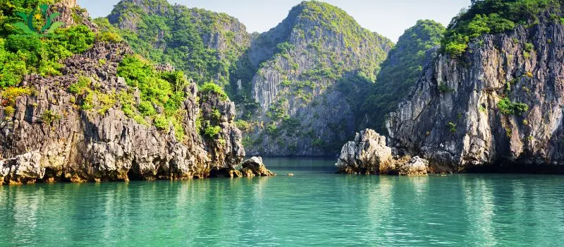Nature du Vietnam